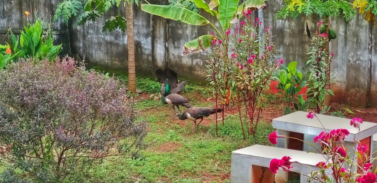 Vedic Heritage Boutique Hotel كوفالام المظهر الخارجي الصورة